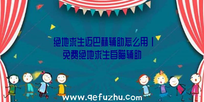 「绝地求生迈巴赫辅助怎么用」|免费绝地求生自瞄辅助